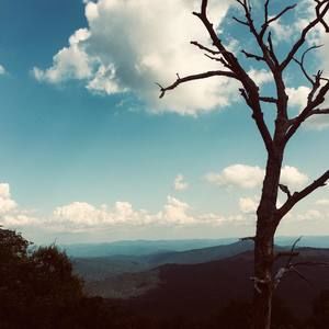 Meet your Posher, Thi